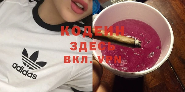 ECSTASY Богданович