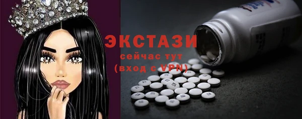 ECSTASY Богданович