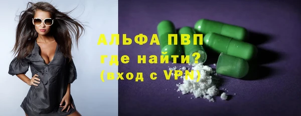 ECSTASY Богданович