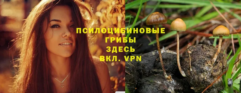 Псилоцибиновые грибы MAGIC MUSHROOMS  Велиж 